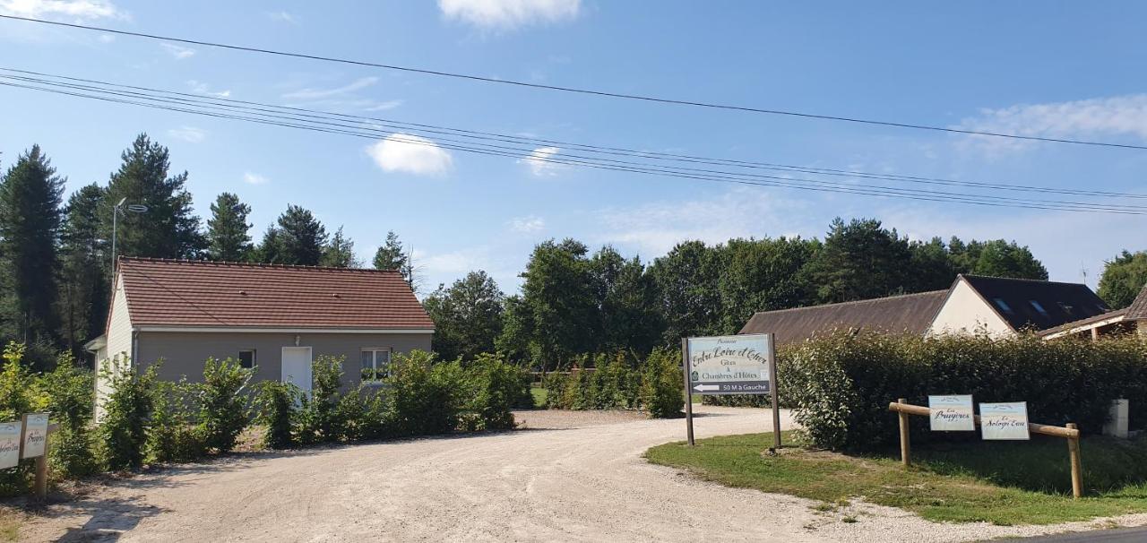 ENTRE LOIRE ET CHER Les Bruyères Gîte&SPA Privatif Tour-en-Sologne Esterno foto